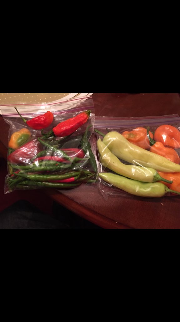 Manuel Mendoza tweet media