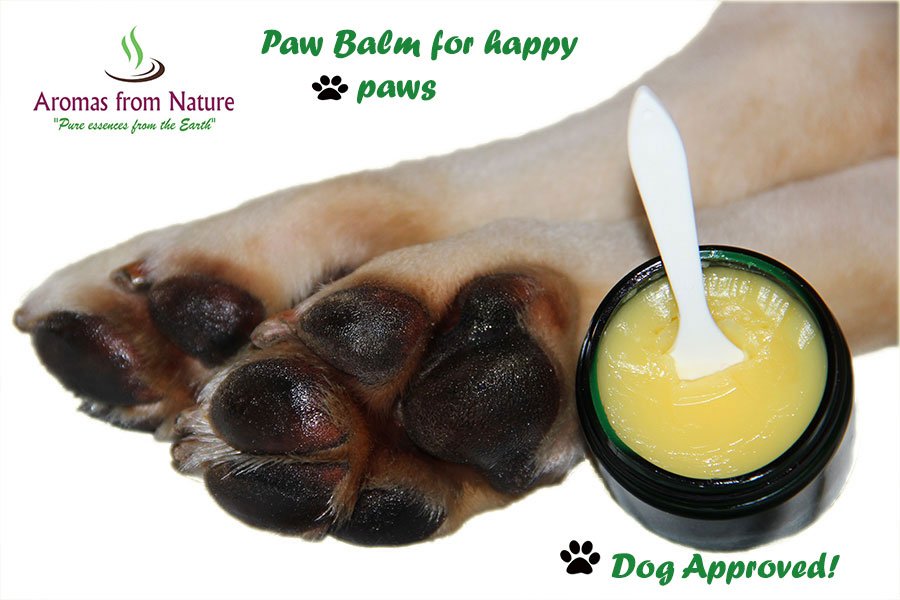 Happy paws... Happy Dogs! <a href="/AromasfromN/">Aromas From Nature</a> #doglover #crueltyfree #dogsoftwitter #dogsarelove #natural
