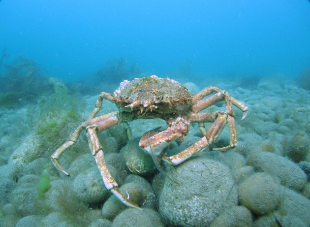 Dorset Magazine tweet media