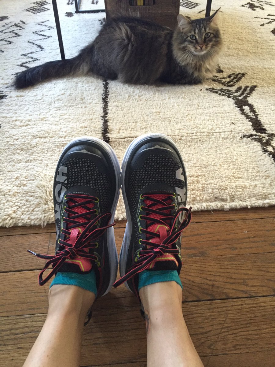 12for12for1200's tweet photo. @runpacers Thanks for the new @HOKAONEONE kicks! Looking forward to trying the Claytons as well! #catapproved #buylocal #runglobal https://t.co/rsPRuD94P9