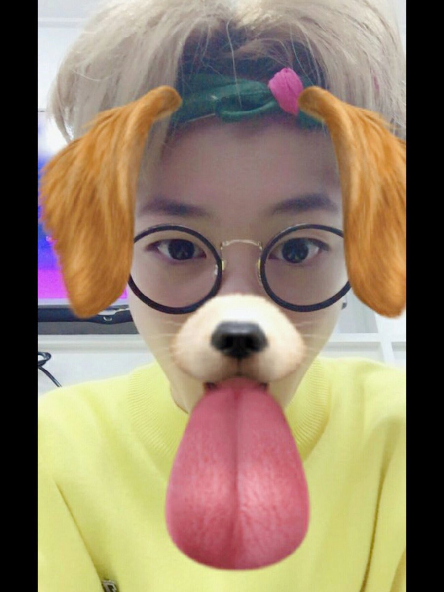 ADORABLE KITTEN❣ tweet media