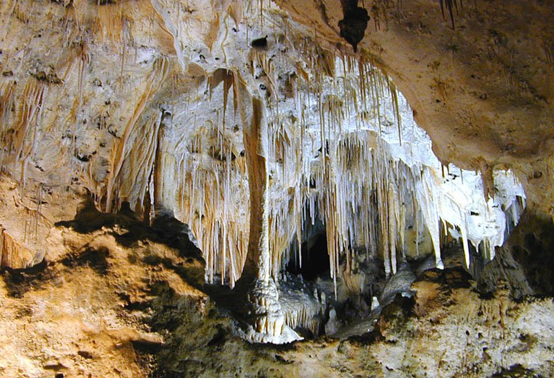 TakeaGetaway's tweet photo. Visit El Paso and take a day trip to Carlsbad Caverns National Park for a look at prehistoric America.  https://t.co/zuDaPoYG8m https://t.co/WrehEJwoxt