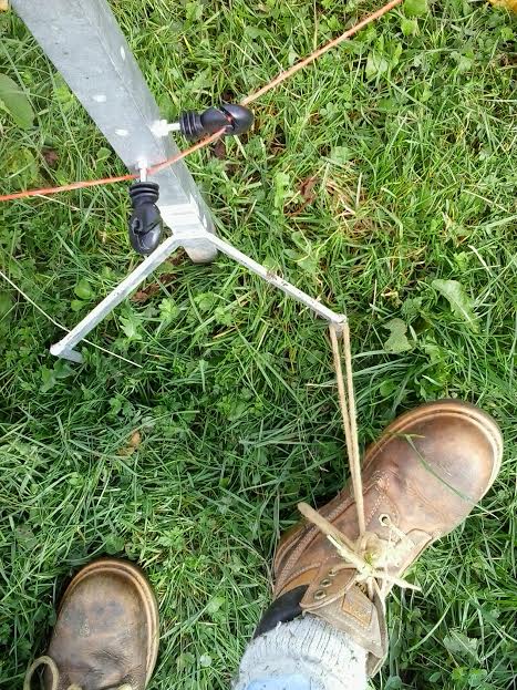 misskrjones's tweet photo. #sheep #farmer #problems #purplespray #footspray #workershands #spraypaint #multicolour #pinkpaint #farm365 #sheep365 #spraythatdoesntspray https://t.co/uua8yxPkQe