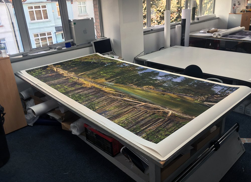 genesisimaging's tweet image. .@Senezio&apos;s HUGE landscape printed for upcoming show... So big, it almost didn&apos;t fit on the table! senezio.com #proprinting