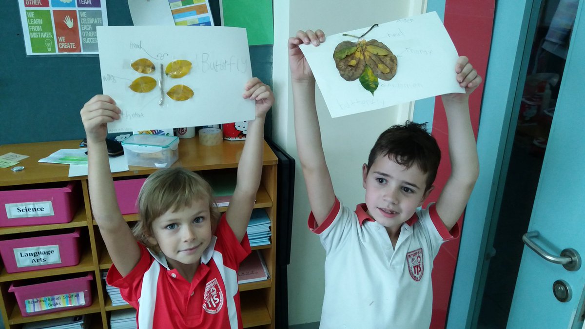 paigeivany's tweet photo. Learning about insect parts #lifeingrade2 #tismacao #insectunit https://t.co/EGeEWhgcuX