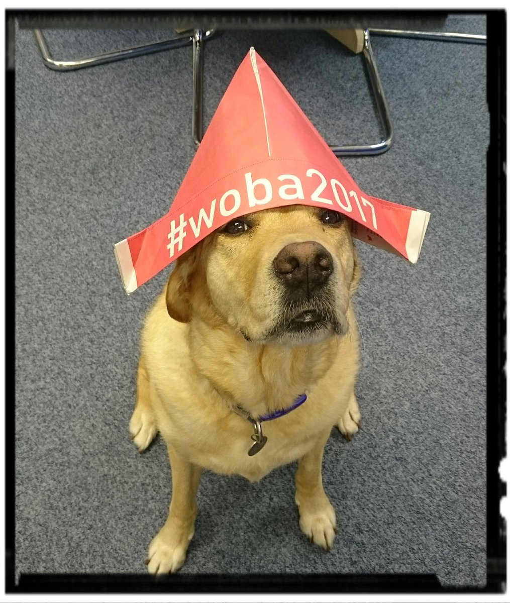 Aston_and_James's tweet photo. We love our #woba2017 hat, especially Logan :-) @wobateam https://t.co/YWPyRgNWjR