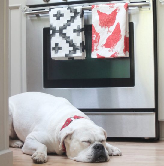 Princeton_Mag's tweet image. Spoonflower Expands with Launch of Roostery.com bit.ly/2d3DMcy