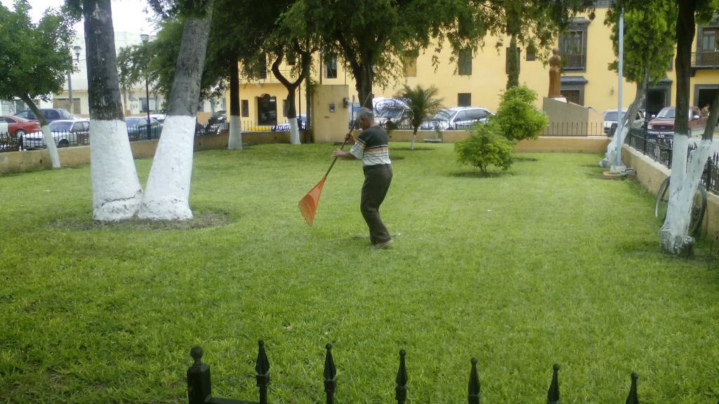 CNTAMAULIPAS's tweet photo. Limpieza permanente en los espacios públicos en San Fernando | https://t.co/xFoTcBTRKo https://t.co/kZv69g2yci