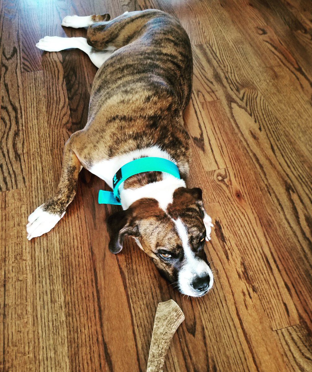 Weights & Wanderings tweet media