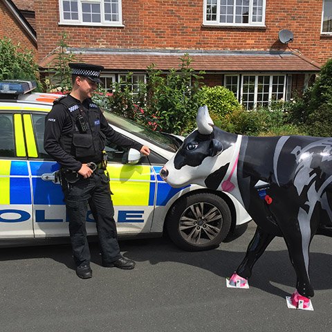 Did you read my blog post on my #Mooi5 mission preventing floods in Brockham? My <a href="/Trak365/">Trak365</a> device saved the day! ow.ly/RvtD304sfhb