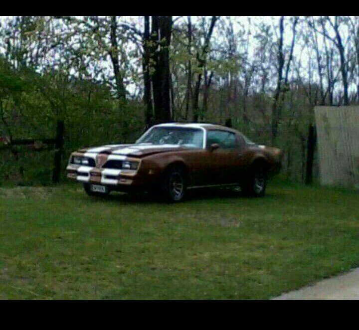 OrsatoDavide's tweet photo. #Pontiac Pontiac firebird formula 400 '78 
My first love.... https://t.co/jTl3tLIRP8
