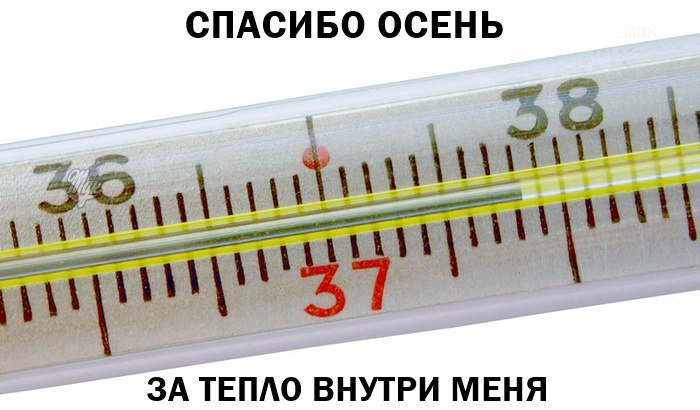 push_sama's tweet image. Коротко о наболевшем