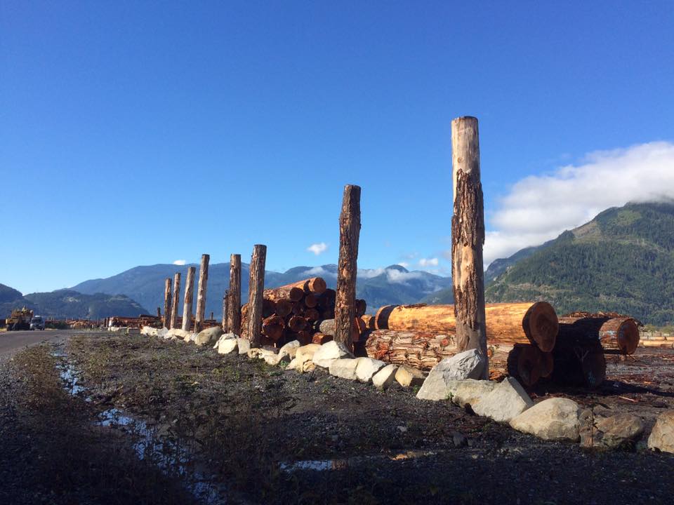 Le_Besson's tweet image. En Colombie Britannique, les #bois sont triés puis jetés à la mer afin d'être chargés sur un bateau.