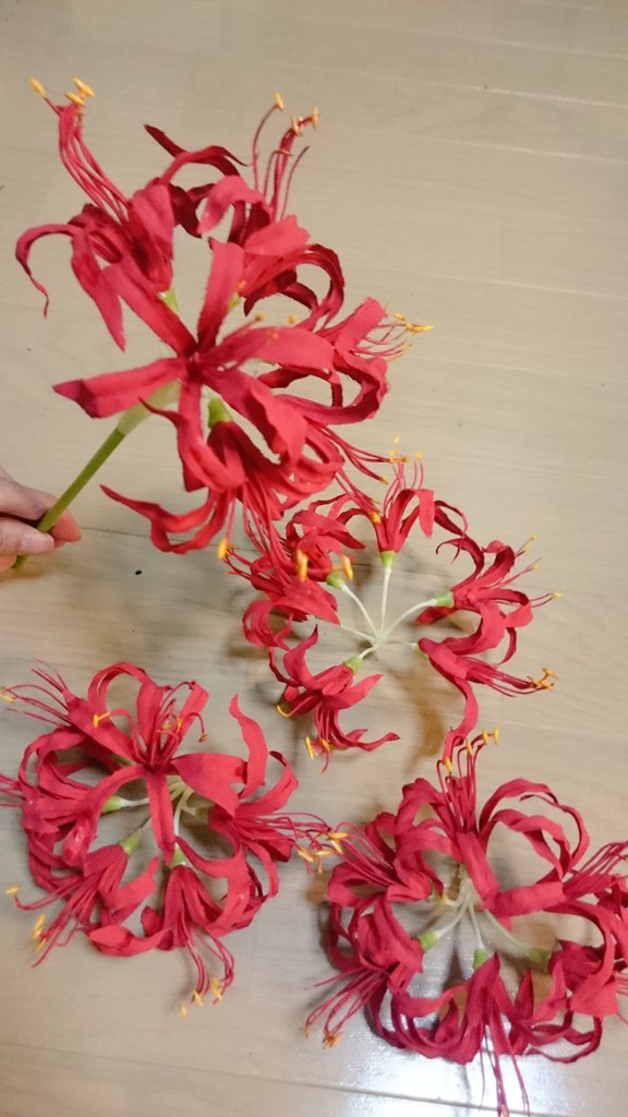 梅吉 とっても簡単 彼岸花の作り方 O O ノ Can Do系百均にある リリースプレー 白or黄どちらでも 1つに花5個なので 最低2本用意 6本あれば無駄なく使いきれるよw花弁 ガクを外して 花弁 オシベを赤で着色 続く 梅吉 とっても簡単 彼岸花の作り方 O O ノ Can Do系百均にある リリースプレー 白or黄どちらでも 1つに花5個なので 最低2本用意 6本あれば無駄なく使いきれるよw花弁 ガクを外して 花弁 オシベを赤で着色 続く