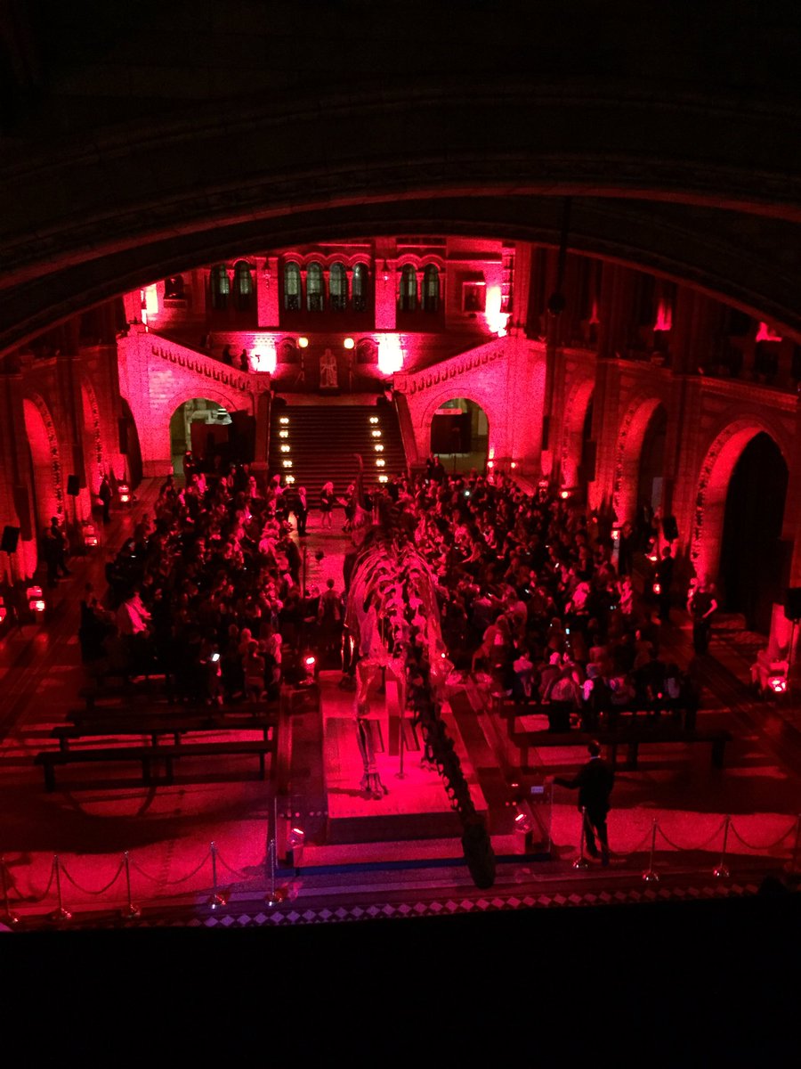 #lfw @nationalhistorymuseum#fashion💃🏻