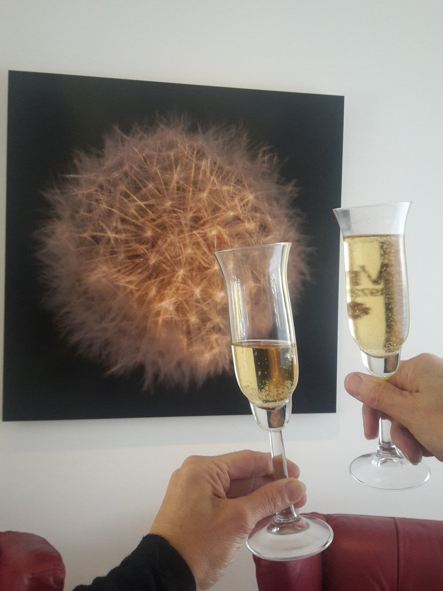 KatjaKoevoet's tweet photo. Dandelion 2/6 afgeleverd bij de familie Veerman  opgehangen en getoost met champagne ze zijn zo blij. Geweldig!#art https://t.co/eJiswEHmwb