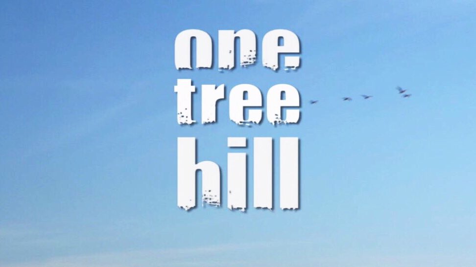 xRememberOTH's tweet photo. One Tree Hill, Series Premiere:
September 23rd 2003. 
#13Years #OTHDay https://t.co/tIUk9lsDJy
