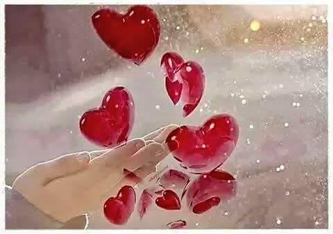 <a href="/lolo_mlolo3616/">lolo.moon</a> ميرسى يا امر