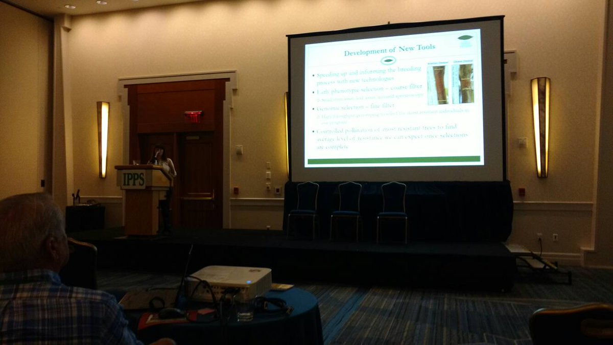 OrnamentalBreed's tweet photo. Good morning, Hartford! Kendra Collins is telling #IPPS about @chestnut1904's work to save the American chestnut. https://t.co/pMLZyFUv7I
