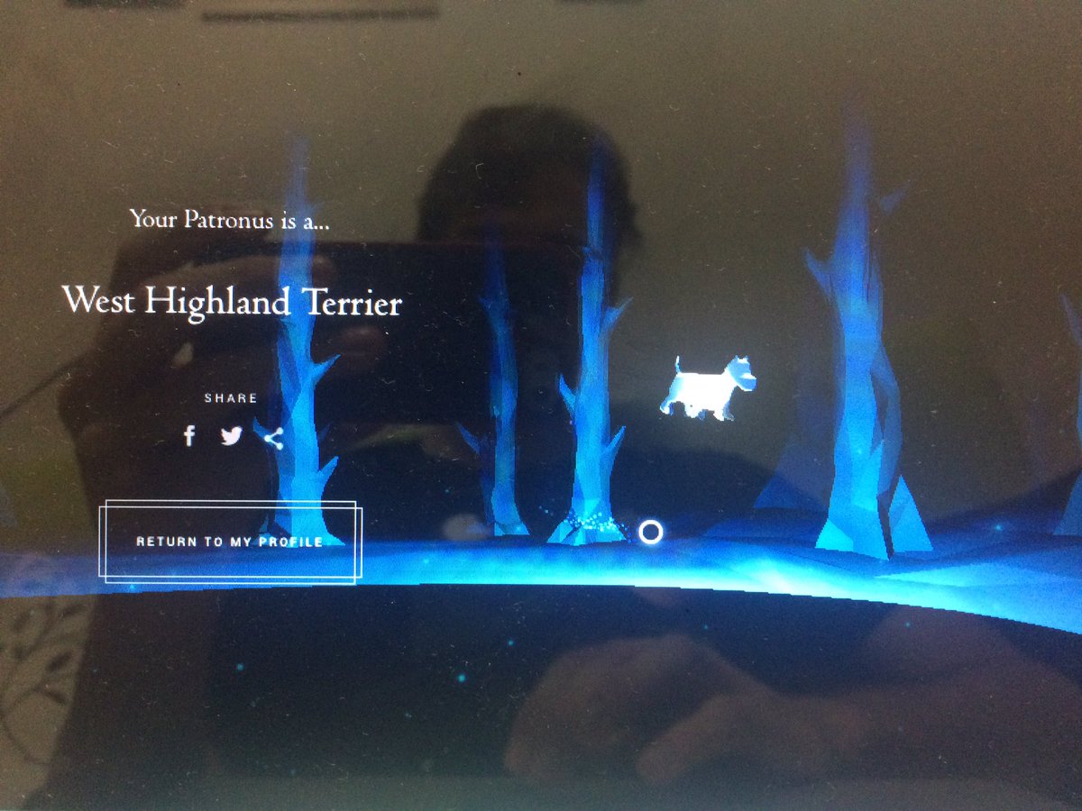 zahomodachi's tweet photo. You serious, Joanne? 

What's my patronus going to do...? Roll over and ask the dementors for a tummy rub?! #pottermore #patronus https://t.co/hRfCuTUSRQ