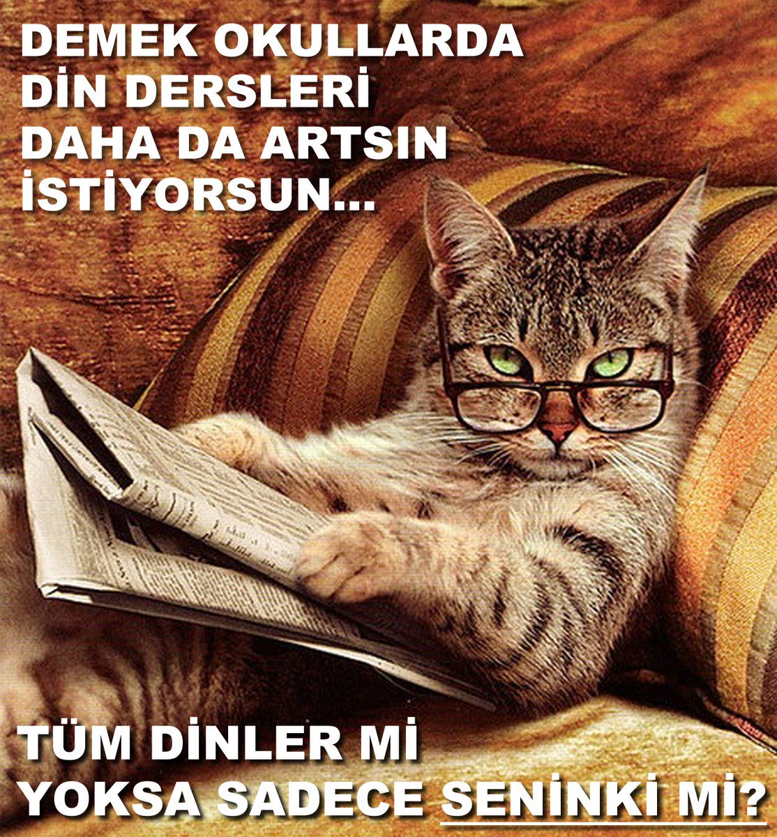 Sorgulayan (@ssorgulayan) on Twitter photo 