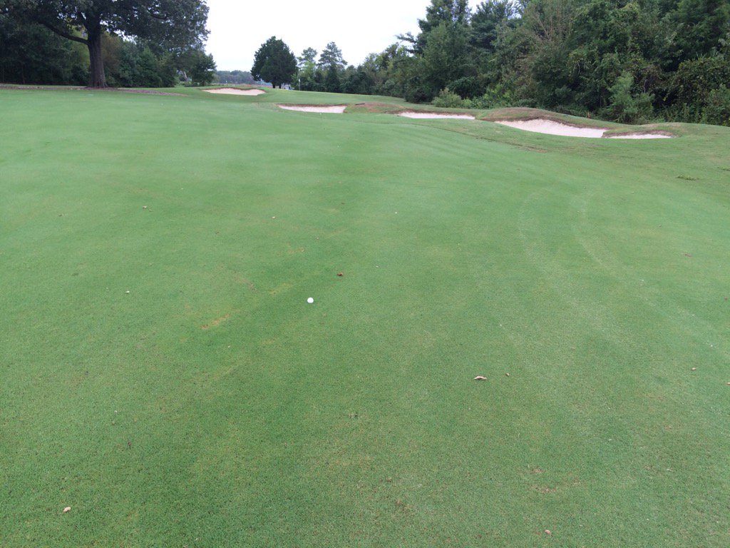 My fourth tee shot. I'm starting to feel it! Last time I played was 13 years ago.