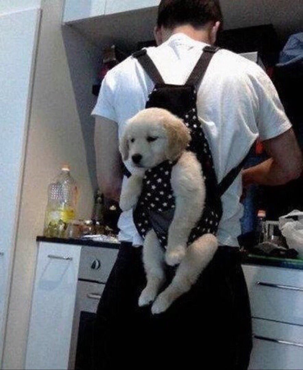 thefemaleboook's tweet photo. "Do you want kids?"
me: https://t.co/gmEoTRzKJe
