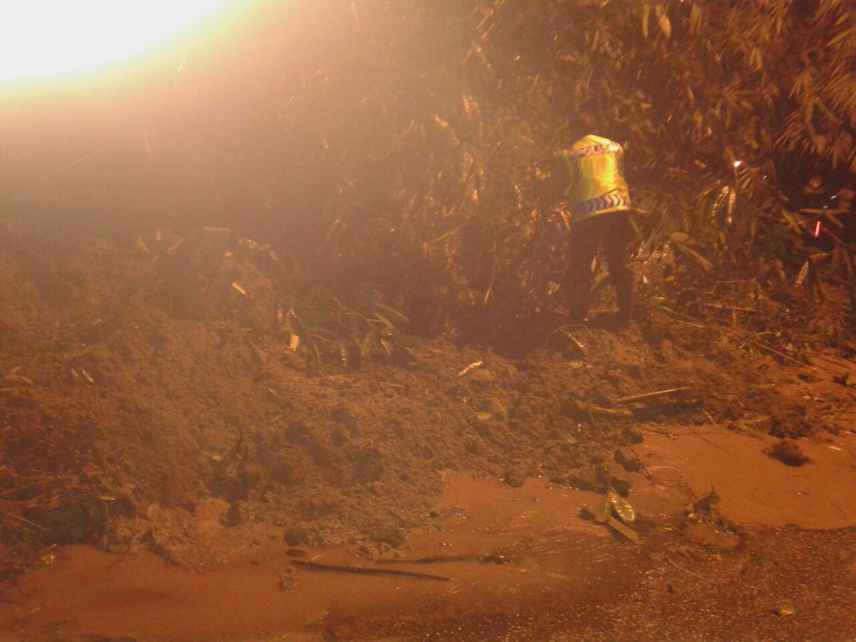 Mariah Ulfah tweet media