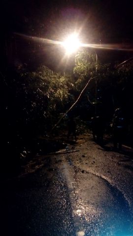 Mariah Ulfah tweet media