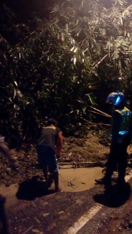 Mariah Ulfah tweet media