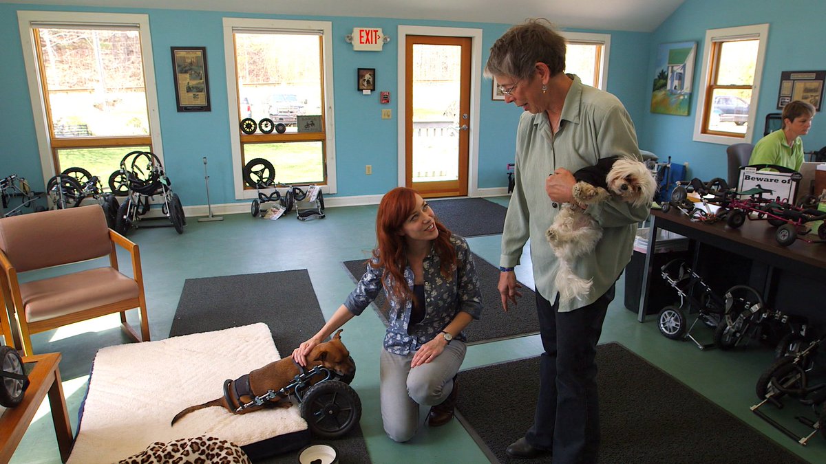 What's <a href="/alieward/">Alie Ward</a> up to? Rolling over to <a href="/Eddies_Wheels/">Eddie's Wheels</a> to discuss their innovation giving immobile dogs a second chance! #InnovationNation