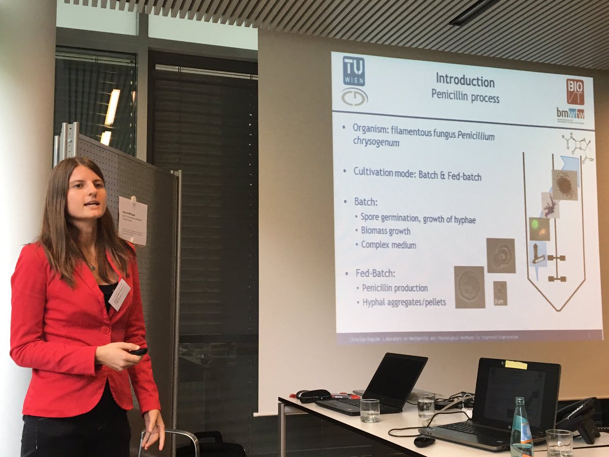 Flowise1's tweet image. Ehgartner Daniela - Vienna University of Technology    @Flowise1  the leading edge in flow cytometry. Large particle flow cytometry