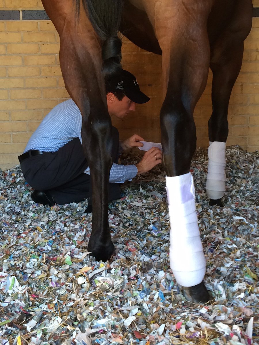 RacingBlueSTORM's tweet photo. Getting ready for paddock schooling Gansera-Leveque Racing #STORMonboard #nicehat https://t.co/3wmKZ3HFrX