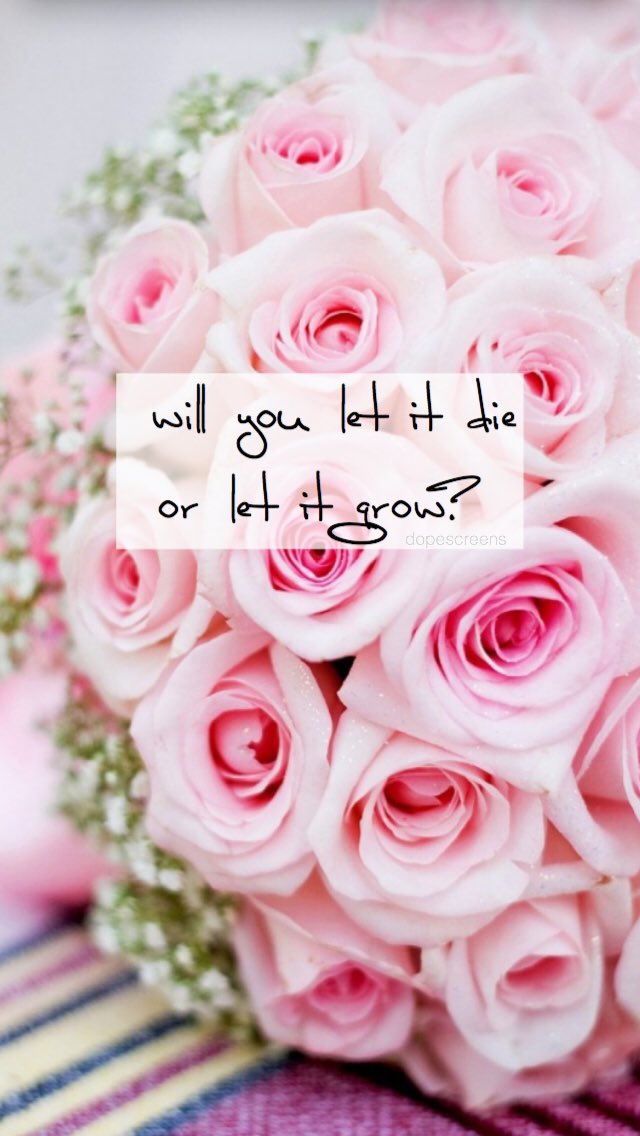 Maartje On Twitter Free Shawn Mendes Bad Reputation Lyrics Lockscreen 2983 Rt If You Save Mae Illuminatebuyouts