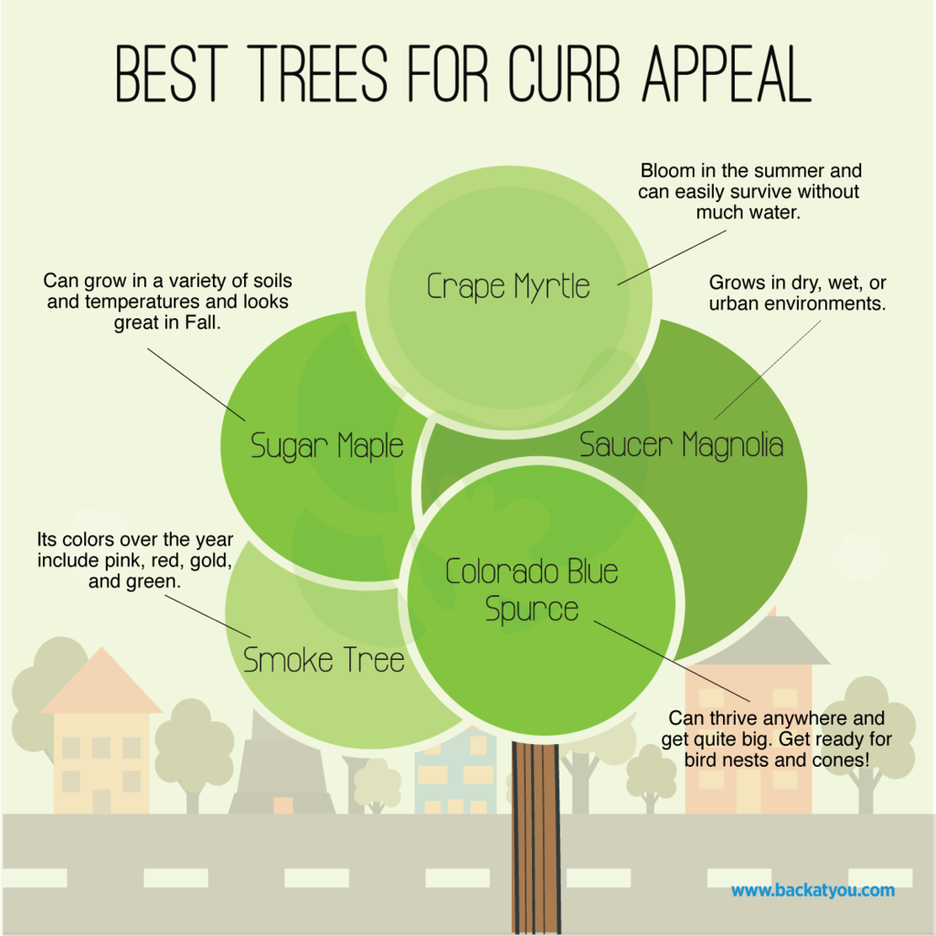 Trees are a great way add to your home's curb appeal. Among a variety of benefits, they... facebook.com/18011478501142…
