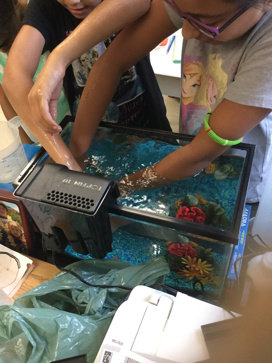 mrscookesclass3's tweet photo. Getting the filter ready in our fish tank @EldoradoPDSB #3a2016. New additions next week. https://t.co/0U73ytgqqV