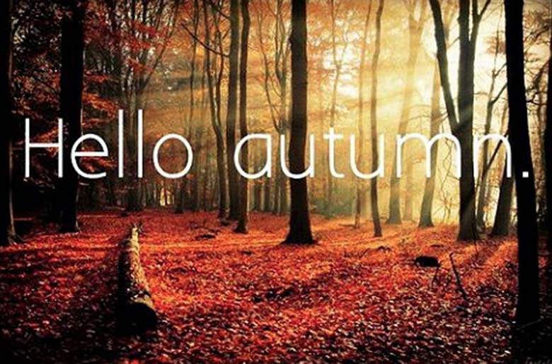 dahlvalve's tweet photo. Wishing everyone a wonderful first Fall weekend! #HappyWeekend #HappyFallYall #Enjoy #HelloAutumn #PSL #Sweaters #Pumpkins #FirstFallWeekend https://t.co/gsaDg9GMmj
