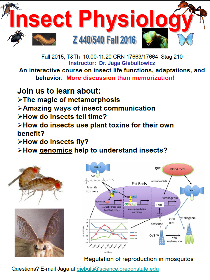 JagaLab_OSU's tweet image. Welcome back students! Register now for Insect Physiology, Z440/540!