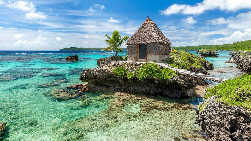 Brilliant tweet media