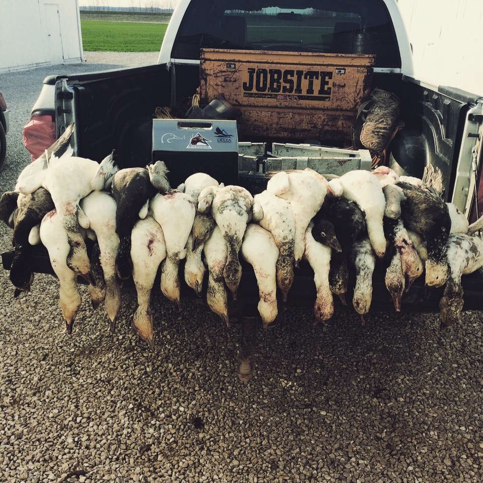 Can't wait to get back in the blind #fowlfriday