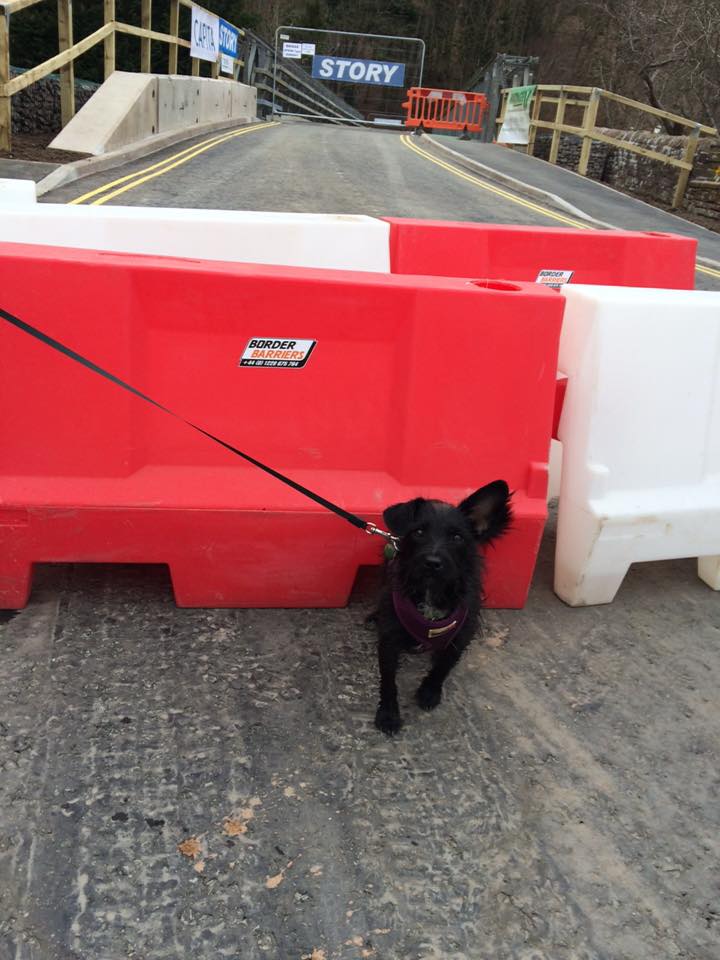 borderbarriers's tweet photo. Totti Dog Top Barrier Spotter!! So cute, thanks to everyone who sends their photos in of our barriers that you spot out and about. https://t.co/4ruReHsbg2