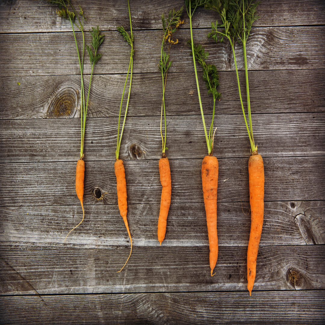 ReplenishIV's tweet photo. Be the healthier long carrot! Enhance your health with IV therapy!

#IVtherapy #healthyliving #replenishatl #weloveatl https://t.co/j65Bd8gkFL