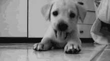 sonidosmex's tweet photo. ¡Tengan excelente viernes! ¿Qué harán este fin de semana? https://t.co/YekU44pbSx