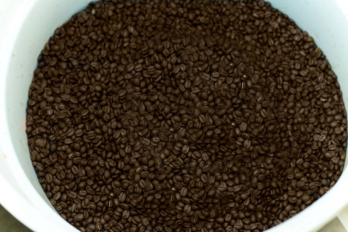 Roasted and ready! Time to get these delicious beans into some bags. #Coffee #coffeebeans #roastloud #goshencoffee #coffeelife