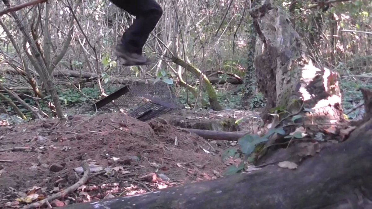 HuntSabs's tweet photo. Cage jumping in the Somerset #BadgerCull zone
https://t.co/7oCv31g1MS https://t.co/rrCQy2ZA6c