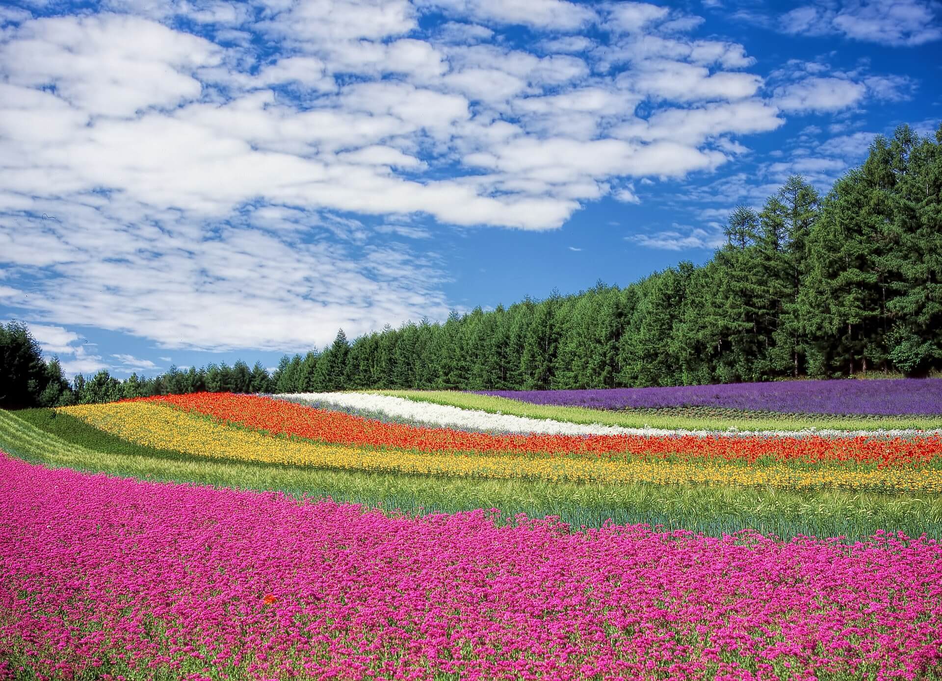 HD Wallpapers on Twitter: HD Wallpapers on Twitter:
