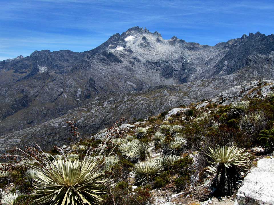 MiMerida_ve's tweet photo. La tierra parece una magnífica flor de loto cuando el sol se alza sobre el paisaje nevado. Akiko Yosano #Venezuela https://t.co/cXNk2sqG5H