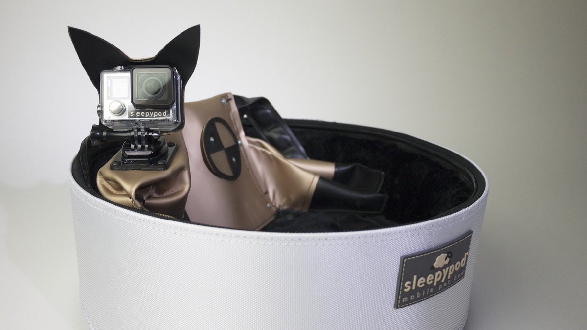 CrashTestDogs's tweet photo. @sleepypod @CatalystCouncil Here's our pal CLEO the Crash Test Cat. https://t.co/EVFXmsqwPz