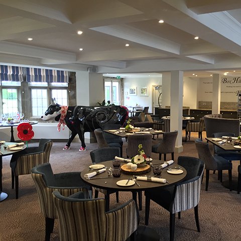 Now that all my #Mooi5 missions are complete, I'm letting my hair down &amp; enjoying some #finedining @MercureBoxHill ow.ly/bTqP304sfOR