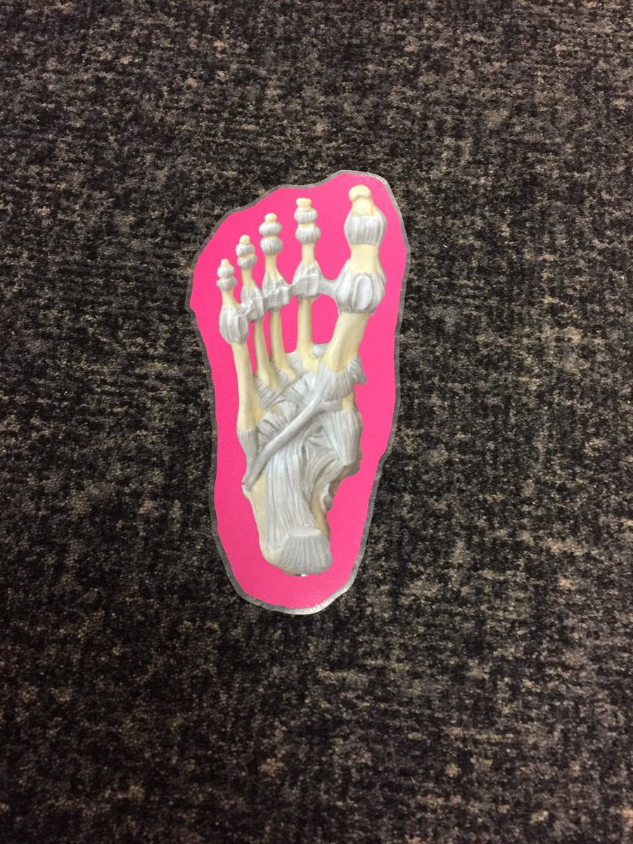 EdinburghMBChB's tweet photo. Coming to our open day tomorrow and want to find your way around the medical stands and lectures? Follow the feet! https://t.co/kJKl4ba4wM